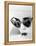 Lolita, 1962-null-Framed Premier Image Canvas