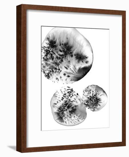 Lolite-Maja Gunnarsdottir-Framed Giclee Print