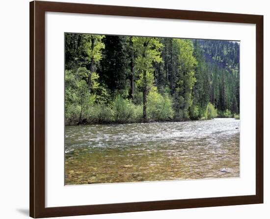 Lolo Creek on Lewis and Clark's Trail over the Bitterroot Mountains in Montana-null-Framed Photographic Print