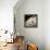 Lombardy #11-Alan Blaustein-Framed Stretched Canvas displayed on a wall