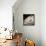 Lombardy #11-Alan Blaustein-Framed Stretched Canvas displayed on a wall