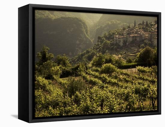 Lombardy, Lake District, Lake Garda, Tremosine Plateau, Sermerio, Vineyards, Italy-Walter Bibikow-Framed Premier Image Canvas