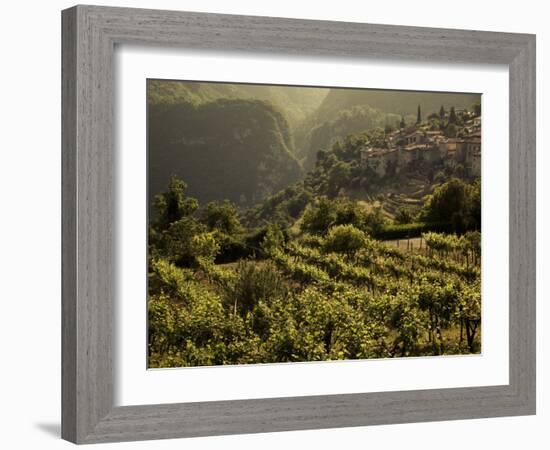 Lombardy, Lake District, Lake Garda, Tremosine Plateau, Sermerio, Vineyards, Italy-Walter Bibikow-Framed Photographic Print