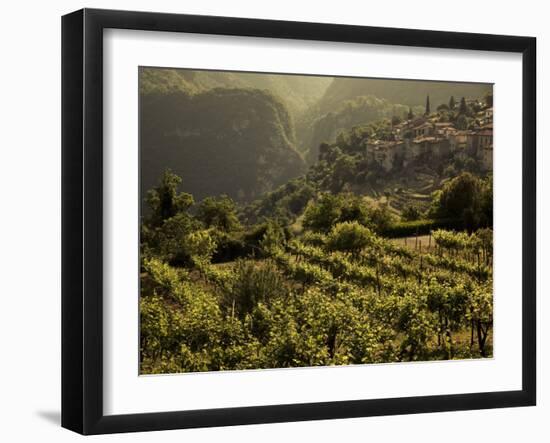 Lombardy, Lake District, Lake Garda, Tremosine Plateau, Sermerio, Vineyards, Italy-Walter Bibikow-Framed Photographic Print