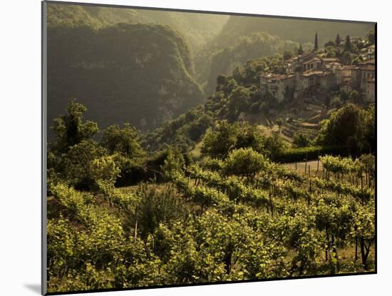 Lombardy, Lake District, Lake Garda, Tremosine Plateau, Sermerio, Vineyards, Italy-Walter Bibikow-Mounted Photographic Print