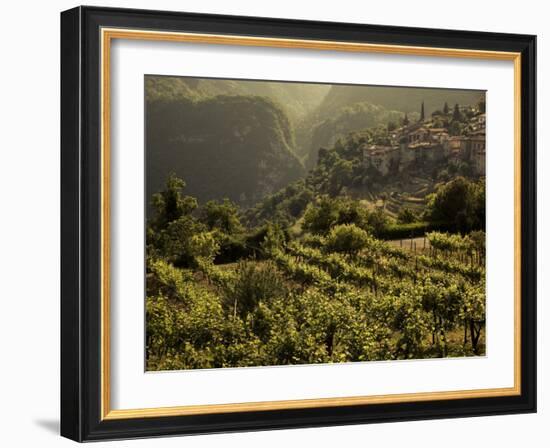 Lombardy, Lake District, Lake Garda, Tremosine Plateau, Sermerio, Vineyards, Italy-Walter Bibikow-Framed Photographic Print