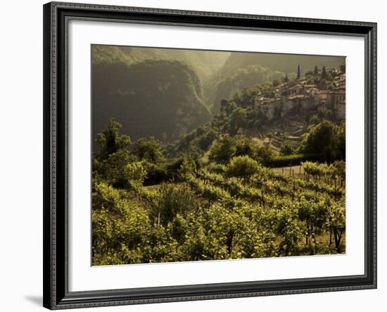 Lombardy, Lake District, Lake Garda, Tremosine Plateau, Sermerio, Vineyards, Italy-Walter Bibikow-Framed Photographic Print