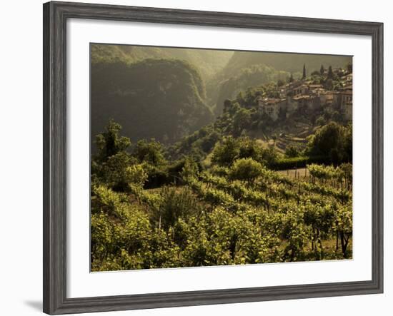 Lombardy, Lake District, Lake Garda, Tremosine Plateau, Sermerio, Vineyards, Italy-Walter Bibikow-Framed Photographic Print