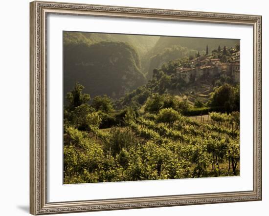 Lombardy, Lake District, Lake Garda, Tremosine Plateau, Sermerio, Vineyards, Italy-Walter Bibikow-Framed Photographic Print