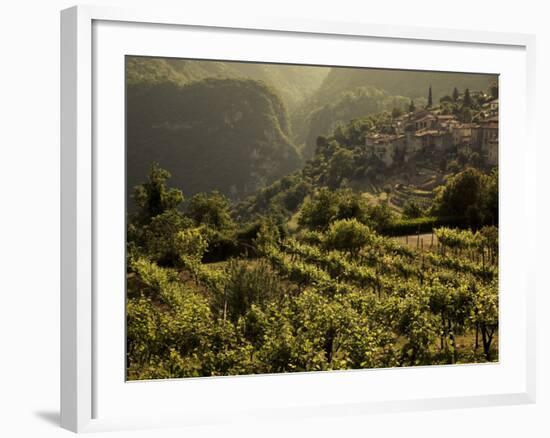 Lombardy, Lake District, Lake Garda, Tremosine Plateau, Sermerio, Vineyards, Italy-Walter Bibikow-Framed Photographic Print