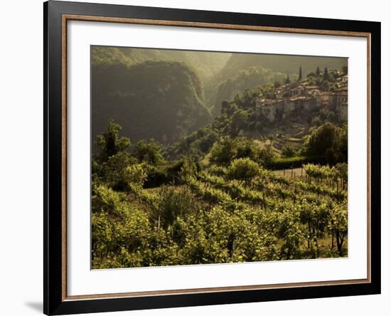 Lombardy, Lake District, Lake Garda, Tremosine Plateau, Sermerio, Vineyards, Italy-Walter Bibikow-Framed Photographic Print