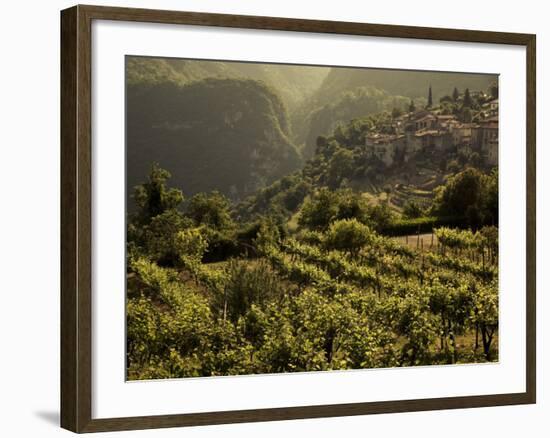 Lombardy, Lake District, Lake Garda, Tremosine Plateau, Sermerio, Vineyards, Italy-Walter Bibikow-Framed Photographic Print