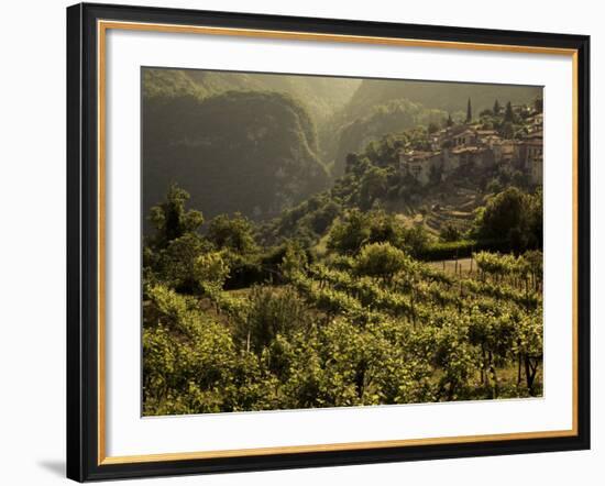 Lombardy, Lake District, Lake Garda, Tremosine Plateau, Sermerio, Vineyards, Italy-Walter Bibikow-Framed Photographic Print