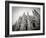 Lombardy, Milan, Piazza Duomo, Duomo Cathedral, Defocussed, Italy-Walter Bibikow-Framed Photographic Print