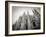 Lombardy, Milan, Piazza Duomo, Duomo Cathedral, Defocussed, Italy-Walter Bibikow-Framed Photographic Print