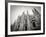 Lombardy, Milan, Piazza Duomo, Duomo Cathedral, Defocussed, Italy-Walter Bibikow-Framed Photographic Print