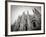 Lombardy, Milan, Piazza Duomo, Duomo Cathedral, Defocussed, Italy-Walter Bibikow-Framed Photographic Print