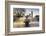 London Big Ben with Gabo's fountain in foreground-Charles Bowman-Framed Photographic Print