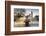 London Big Ben with Gabo's fountain in foreground-Charles Bowman-Framed Photographic Print