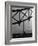 London Bobby in His Wartime Tin Helmet Patrolling the Tower Bridge-Carl Mydans-Framed Photographic Print