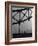 London Bobby in His Wartime Tin Helmet Patrolling the Tower Bridge-Carl Mydans-Framed Photographic Print