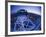 London Eye, London, England-Jon Arnold-Framed Photographic Print