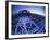 London Eye, London, England-Jon Arnold-Framed Photographic Print