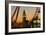 London Eye (Millennium Wheel) frames Big Ben at sunset, London, England, United Kingdom, Europe-Charles Bowman-Framed Photographic Print