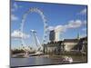 London Eye, River Thames, London, England, United Kingdom, Europe-Jeremy Lightfoot-Mounted Premium Photographic Print