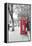 London Red Phone Boxes on Black and White Landscape-David Bostock-Framed Premier Image Canvas