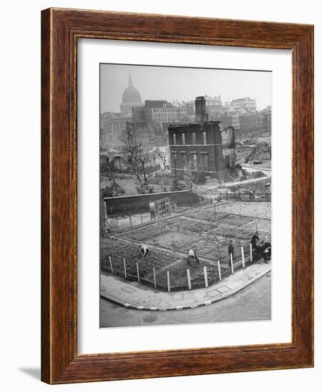 London's East End Residents Cultivating Vegetable Garden in Bombed Ruins-Hans Wild-Framed Photographic Print