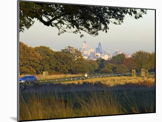 London Skyline from Richmond Park, London, England, United Kingdom-Charles Bowman-Mounted Photographic Print