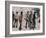 London. Unemployed Workers Who Participated in the Meeting and Raide Stores Picadilly, 1886-null-Framed Giclee Print