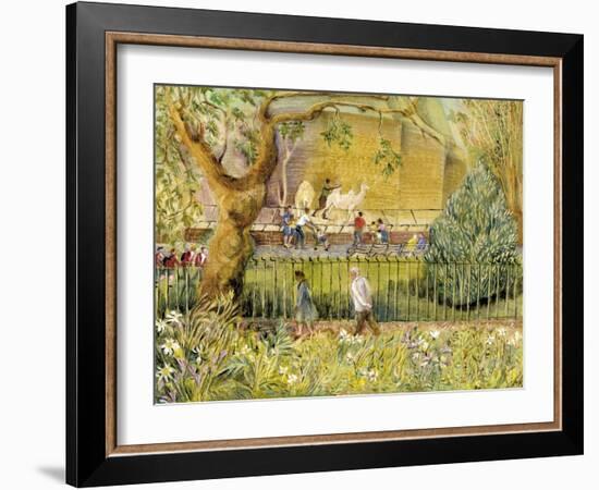 London Zoo, Camels-Mary Kuper-Framed Giclee Print