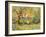 London Zoo, Camels-Mary Kuper-Framed Giclee Print