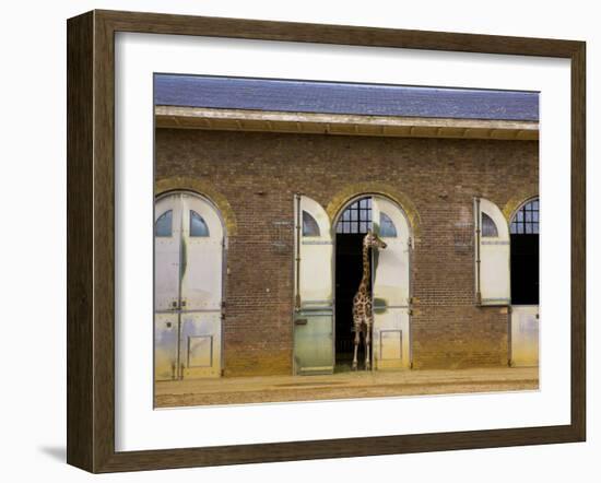 London Zoo, London, England, UK-Neil Farrin-Framed Photographic Print