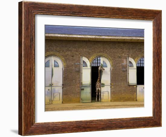 London Zoo, London, England, UK-Neil Farrin-Framed Photographic Print