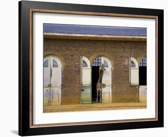 London Zoo, London, England, UK-Neil Farrin-Framed Photographic Print