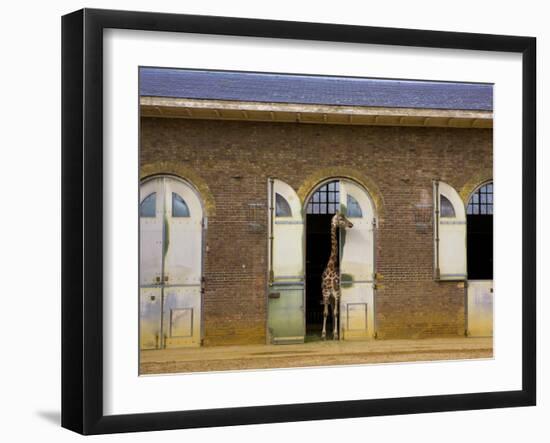 London Zoo, London, England, UK-Neil Farrin-Framed Photographic Print