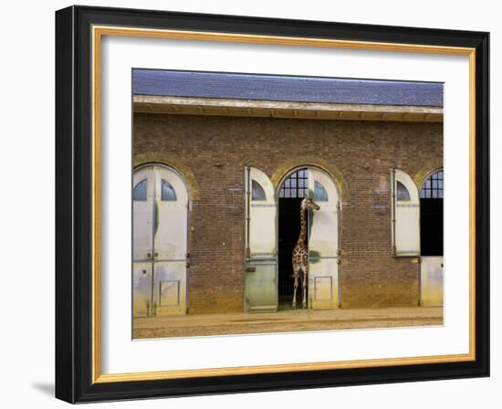 London Zoo, London, England, UK-Neil Farrin-Framed Photographic Print