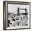 Londoners Relax on Tower Beach, 1952-Henry Grant-Framed Giclee Print