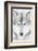 Lone Alaskan Gray Wolf II-Danita Delimont-Framed Photographic Print