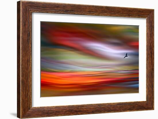 Lone Bird-Ursula Abresch-Framed Photographic Print