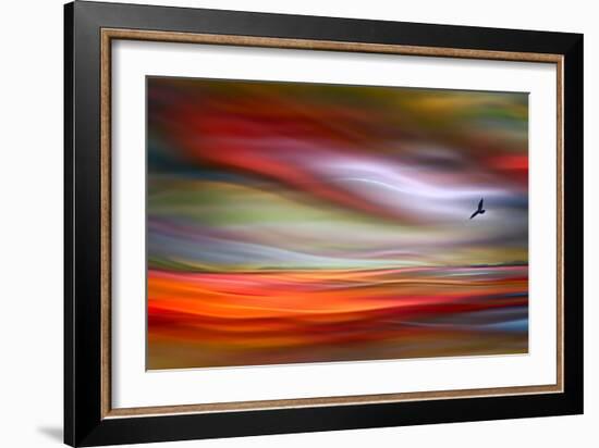 Lone Bird-Ursula Abresch-Framed Photographic Print