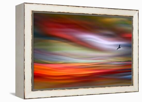 Lone Bird-Ursula Abresch-Framed Premier Image Canvas