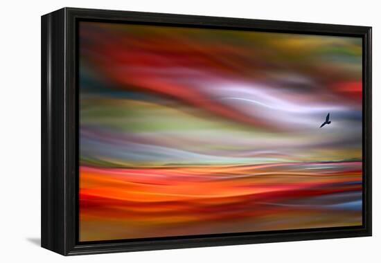 Lone Bird-Ursula Abresch-Framed Premier Image Canvas