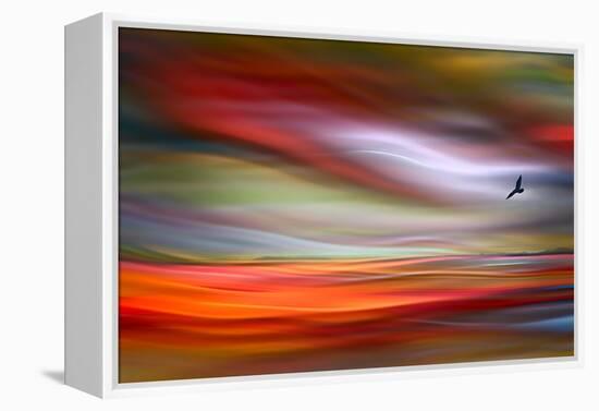 Lone Bird-Ursula Abresch-Framed Premier Image Canvas