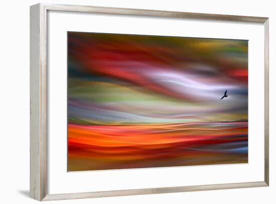 Lone Bird-Ursula Abresch-Framed Premium Photographic Print