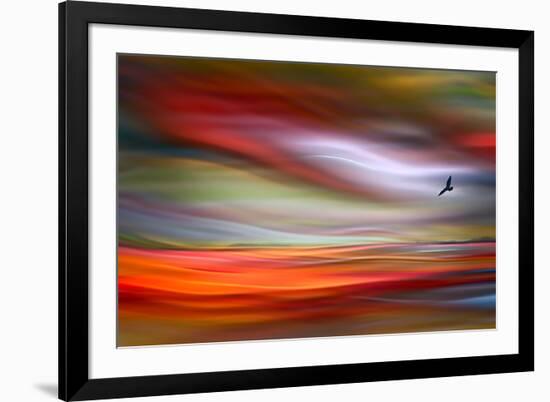 Lone Bird-Ursula Abresch-Framed Photographic Print