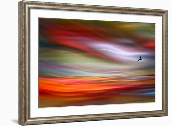 Lone Bird-Ursula Abresch-Framed Photographic Print